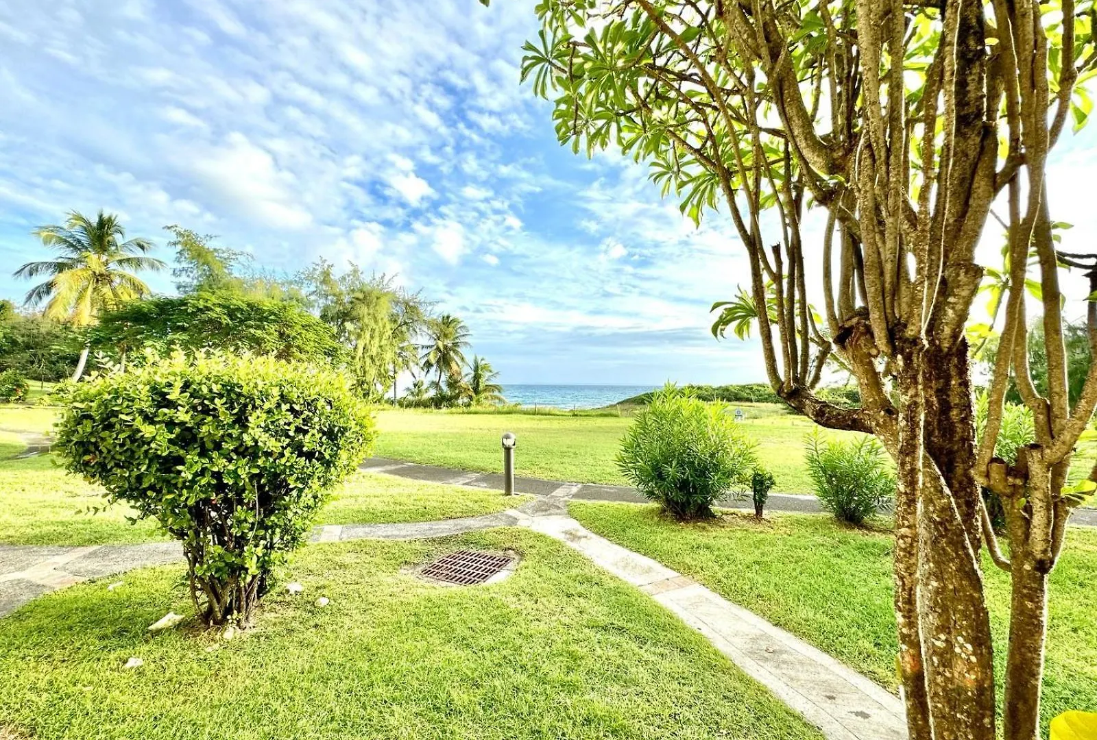 Studios Les Papillons Village Vacances Courcelles Гваделупа